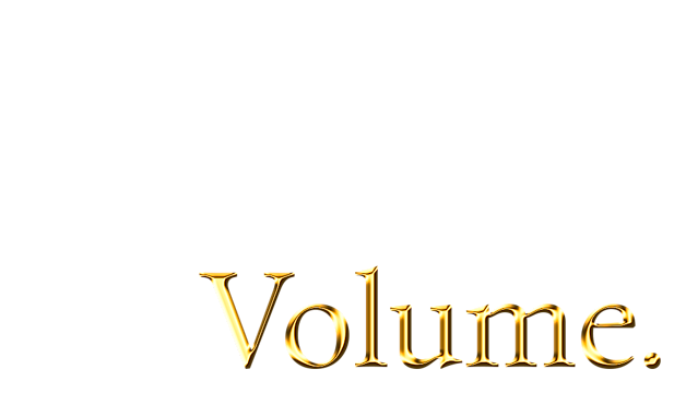 Level 2 | Volume Lash Course Deposit