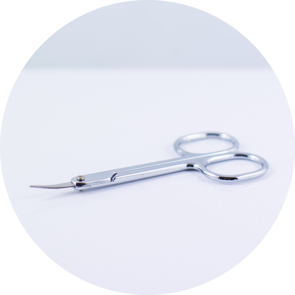 Stainless Steel Scissors